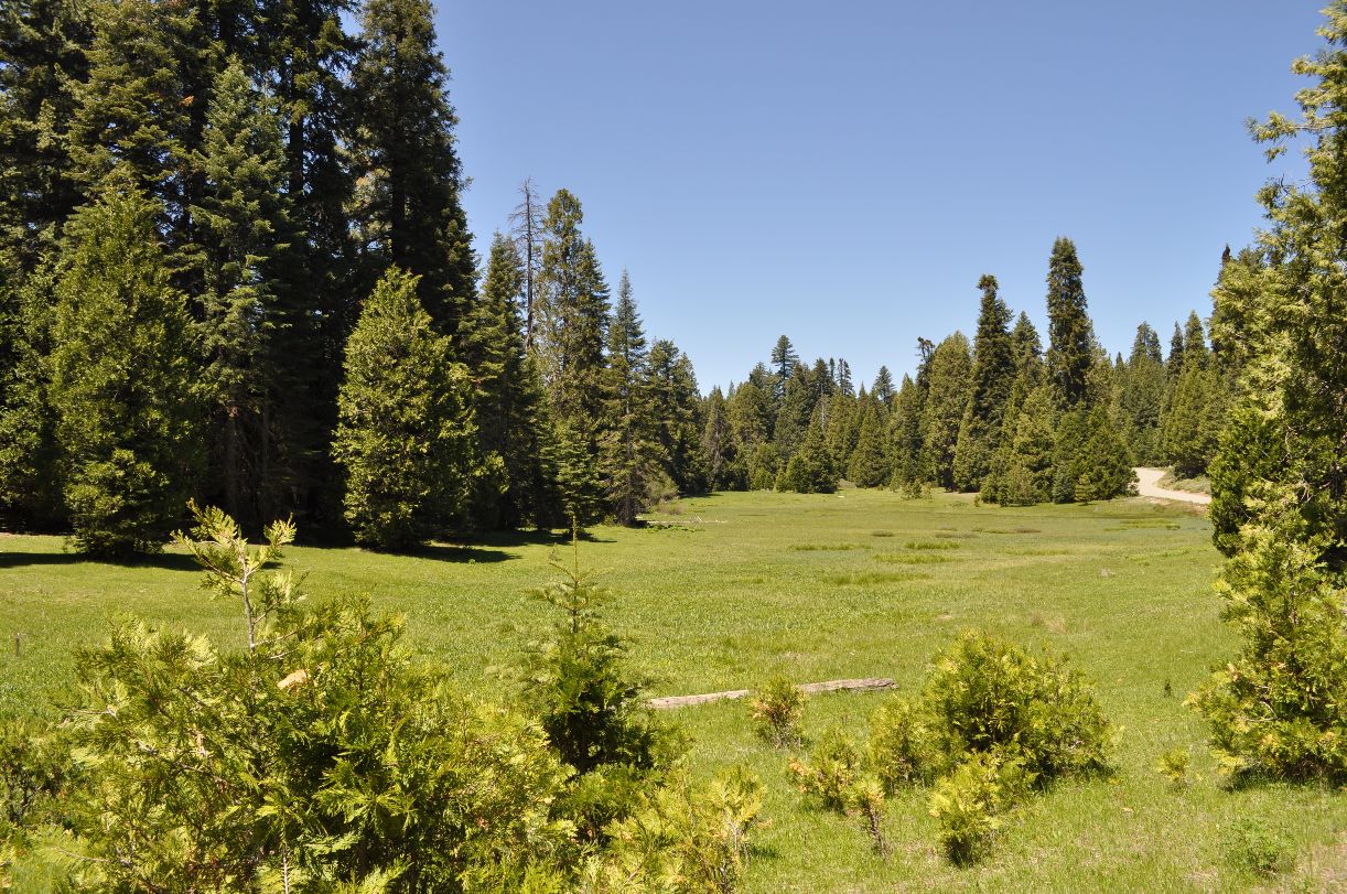 Dinkey Creek Sierra National Forest